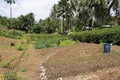 Cultivated soil ready for pplanting of forest trees. Royalty Free Stock Photo