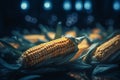 Cultivating Corn with Artificial UV Light for Better Yield