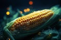 Cultivating Corn with Artificial UV Light for Better Yield