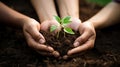 Cultivating Environmental Sustainability. Hands Together Nurturing Growth in Fertile Soil