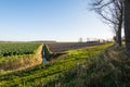 Cultivation of Brussels sprouts and a plowed field