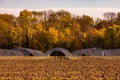 A cultivation field with a strawberry field in autumn in front of a colorful deciduous forest Royalty Free Stock Photo