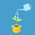 Cultivation in pot. growth concept.