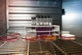 Cultivation of virus bacteria in a scientific laboratory