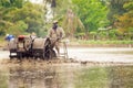 Cultivator in Thailand.