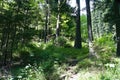 Cultural - historical monument: partisan victualling-yard in the Besna locality in the Ilanovska valley in Liptov