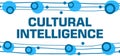 Cultural Intelligence Blue Lines Borders Top Bottom