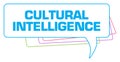 Cultural Intelligence Colorful Stroke Comment Symbol