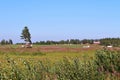 Cultural landscape in Norra Sunderbyn in Norrbotten Royalty Free Stock Photo