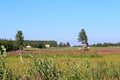 Cultural landscape in Norra Sunderbyn in Norrbotten Royalty Free Stock Photo