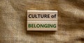 Culture of belonging symbol. Wooden blocks with words `culture of belonging` on beautiful canvas background. Business, culture o