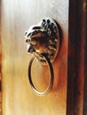 Chinese lion doorknob