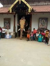 Culture of kerala. elephant weared caparison Royalty Free Stock Photo