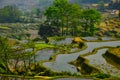 Culture Landscape of Honghe Hani Rice Terraces