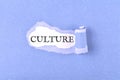 Culture word