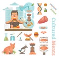 Cultured Meat Laboratory Objects Collection Royalty Free Stock Photo