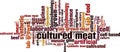 Cultured meat word cloud