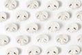 Cultured mushrooms on white background. Seasonal vegetables in hipster style pattern