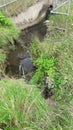Culvert draining into River Rother Royalty Free Stock Photo