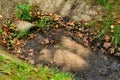 Culvert pipe hole system draining sewage water in a rainy autumn Royalty Free Stock Photo