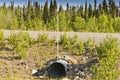 Culvert under Alaska Highway