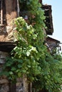 Cumalikizik Village, Bursa, Turkey