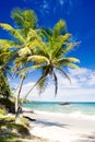 Cumana Bay, Trinidad Royalty Free Stock Photo