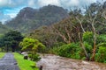 The Cumberland River is a perennial river of the Corangamite catchment, located in The Otways region of the Australian state of Royalty Free Stock Photo