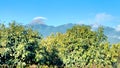 Cumbre del Nevado de Colima coronada por nube solitaria Royalty Free Stock Photo