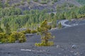 The Cumbre Nueva in La Palma. Beautiful lava landscape on the Cumbre Nueva in La Palma. Royalty Free Stock Photo