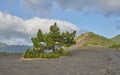 The Cumbre Nueva in La Palma. Beautiful lava landscape on the Cumbre Nueva in La Palma. Royalty Free Stock Photo