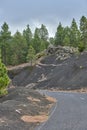 The Cumbre Nueva in La Palma. Beautiful lava landscape on the Cumbre Nueva in La Palma. Royalty Free Stock Photo