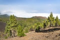 Cumbre Vieja Lava Landscape, La Palma, Spain Royalty Free Stock Photo