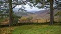 Cumbrian Fells framed by two trees