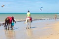 Horses rides for rental in Cumbuco white sand Royalty Free Stock Photo