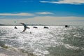 Overexposed effect with Kite surfers enjoying the sea Royalty Free Stock Photo