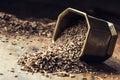 Cumin.Caraway seeds on wooden table. Cumin in vintage bronze bowl and spoon