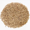 Cumin cuminum cyminum seeds on ceramic plate Royalty Free Stock Photo