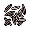 cumin food herb color icon vector illustration