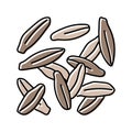 cumin food herb color icon vector illustration