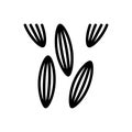 Black line icon for Cumin, cumin seed and caraway