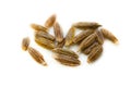 Cumin seed