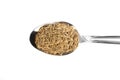 Cumin Seed Royalty Free Stock Photo