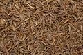 Cumin seed jeera(india) or Cuminum cyminum Royalty Free Stock Photo