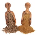 Cumin Seed and Powder