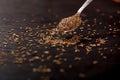 Cumin Seeds on black background Royalty Free Stock Photo