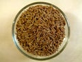 Cumin seeds