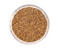 Cumin seeds Royalty Free Stock Photo