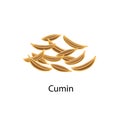 Cumin seeds spice vector illustration in flat design isolated on white background. Royalty Free Stock Photo