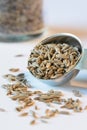 Cumin Seeds Spilled from a Teaspoon Royalty Free Stock Photo